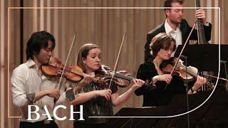 Bach - 'Brandenburg' Concerto no. 3 in G major BWV 1048 - Sato | Netherlands Bach Society