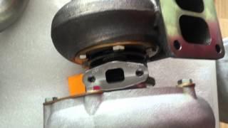 IMG 4163