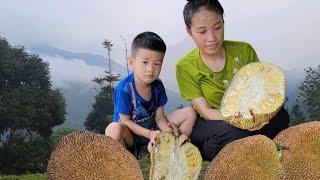 FULL VIDEO: Pregnant mother harvesting agricultural products - daily life of mother and child