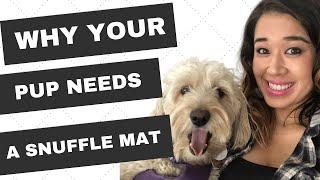 Snuffle Mat For Dogs