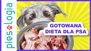 Gotowana dieta dla psa - BACF ‍