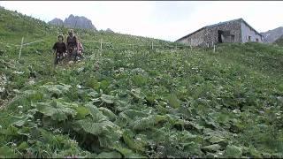 Allgäu-Durchquerung Tag 1 - OASE AlpinCenter