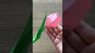 Paper Tulip Flower / Origami Flower