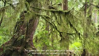 Pacific Rim National Park Reserve | Long Beach | Tofino | Uclulet