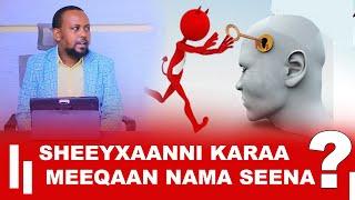 Sheeyxaanni Karaa Meeqaan Nama Seena?