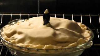 Pie Bird.wmv