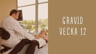 Gravid vecka 12