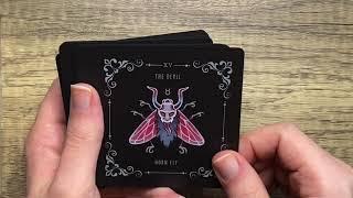 The Insecta Obscura Tarot Walkthrough