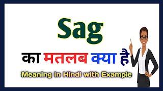 Sag meaning in Hindi || Sag का मतलब हिंदी में क्या होता है || Word meaning in Hindi