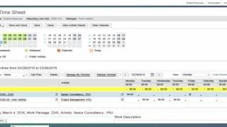 SAP ByDesign Time Entry for Projects - Navigator Business Solutions