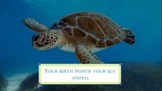 Your birth month your sea animal 