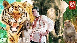 Rajesh Khanna (HD)- New Blockbuster Full Hindi Bollywood Film, Love Story Film | Haathi Mere Saathi