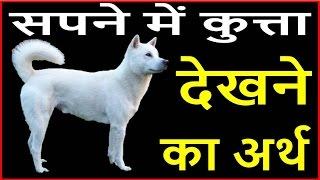 सपने में कुत्ता दिखाई दे तो समझें भाग्यशाली हैं आप Dog dream meaning