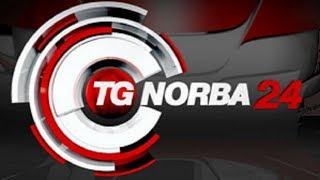 TgNorba24 - Protocollo Inail Bari e Confindustria sulla sicurezza sul lavoro - (18-05-2015)