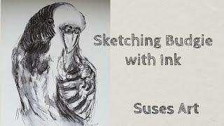 Sketching Budgie with Ink | Porträt | Suses Art