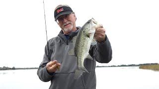 Tips for Fishing Success