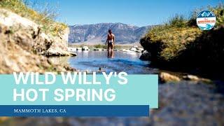 Wild Willy's Hot Spring: Best Natural Hot Spring Near Mammoth Lakes