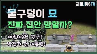 [풍수지리]물구덩이 묘, 진짜 집안 망할까?(세종대왕!권근!박정희 전 대통령!)