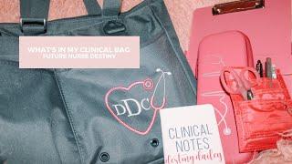 WHAT'S IN MY CLINICAL BAG | Future Nurse Destiny