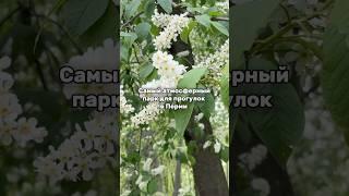 Бывали там? #пермь #достопримечательности #могилы #история