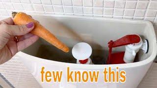 Place a Carrot in Your Toilet,  You'll Be Surprised