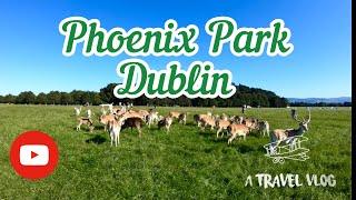 Dublin Phoenix Park, Afternoon walk