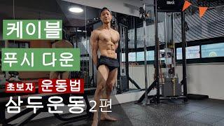 헬스 초보자 삼두운동 케이블 푸쉬 다운 배우기