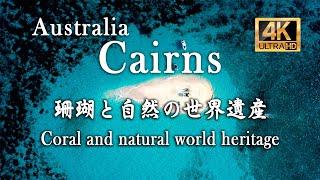 【4K ULTRA HD】Australia - 『ケアンズ  珊瑚と自然の世界遺産』 Coral and natural world heritage.