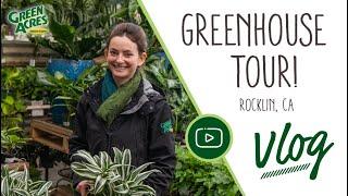 Tour the Greenhouse with Our Houseplant Buyer! @ Green Acres Nursery & Supply - Rocklin