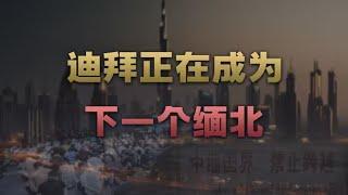 从人间天堂沦为人间炼狱，迪拜背后不为人知的真相【爱德华说】#财经 #经济 #商业