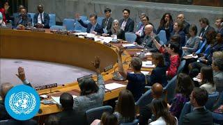 Gaza Ceasefire and Hostage Deal: Vote on draft Resolution | Security Council (full) | United Nations