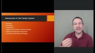 Chapter 14 - Child Psychology - Interactions in the Family System