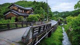 Early Morning Walk through Village and Farmland | Yumesaki, Japan 4K Rural Ambience