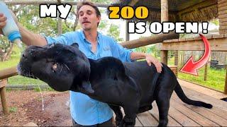 MY ZOO IS FINALLY OPEN !