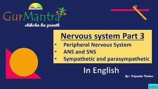 Nervous System  (in  English ) |  Part  3 | GATE XL | Gurmantra