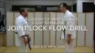 Joint Lock Flow Drill