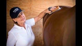 Olympic Dressage Groom Shares Top Tips