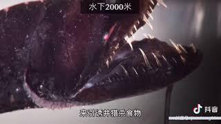 海底一万米有什么呢？？？