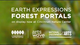 Earth Expressions: Forest Portals