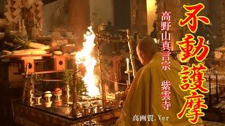 【高野山真言宗護摩焚き】不動明王に諸願成就を祈願する～新年祈祷紫雲寺本堂内にて