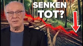 Sind die SENKEN wirklich am ENDE? | Plan B: Das Buch #3