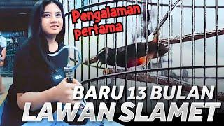 NEKAT ‼️ PASTOLNYA LAWAN SLAMET di Prasasti Bharatayudha Cup