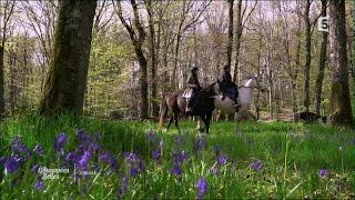 La Creuse, un eden naturel - Echappées belles