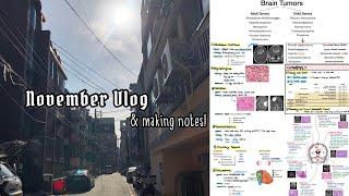 NOVEMBER VLOG  Studying Neurology and some study tips | Korean med student vlog