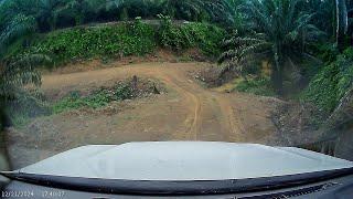 POV Driving on Extreme Hilly Palm Plantation New Roads!!!