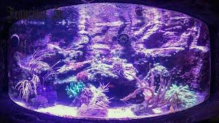GOPRO TRAVEL - ONE DAY AT THE SEA LIFE HANNOVER, HANNOVER