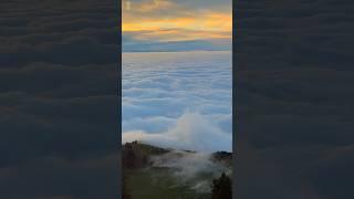 Above the sea of fog at Hotel Rigi Kulm #youtubeshorts #travel #nature #rigikulm