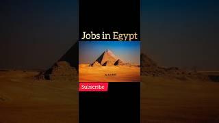 Egypt  Wanted Staff For Hotel  Restaurant Staff #shorts #viral #subscribe #ytshorts #short