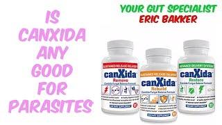 Is CanXida Any Good For Parasites?