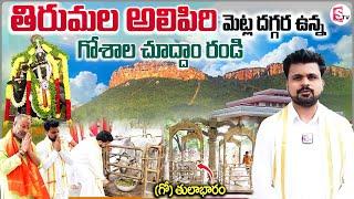 Tirumala Tirupati Alipiri Goshala Darshanam | Anchor Roshan | Temples Tours | SumanTV Vijayawada